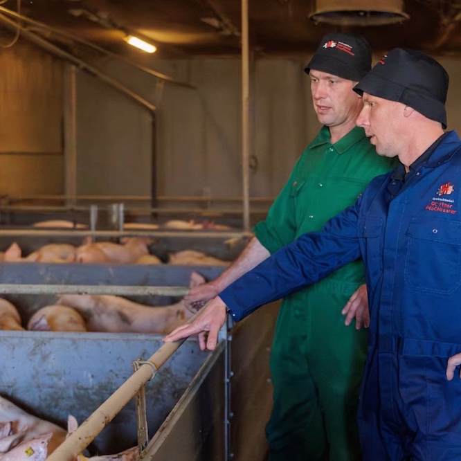 Vacature Ter Haar Key accountmanager 2